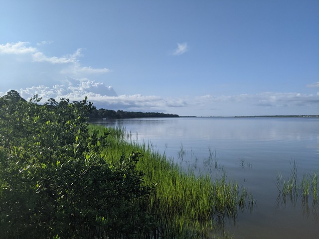 GTM Research Reserve boardwalk and marsh